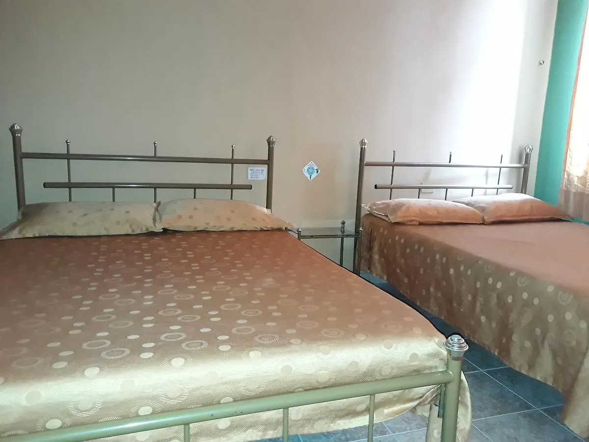 Hotel Calle Real Medellin contacts